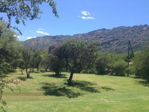 Complejo Arlington Village