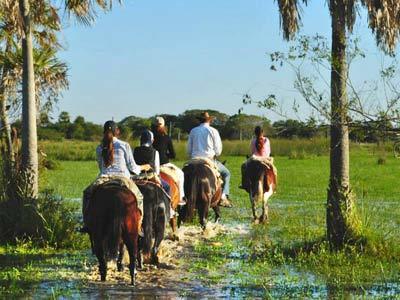 Apartamento �ande Ret�