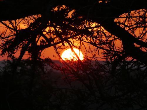 Lodge Kisampa Bush Retreat
