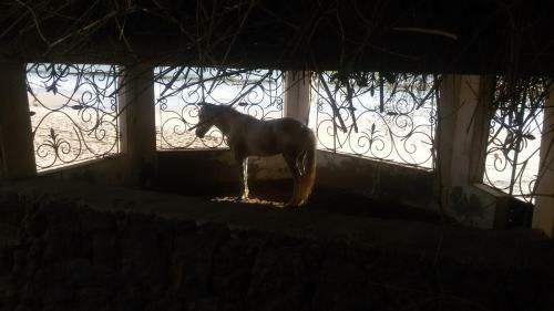Apartamento Keur Flamant