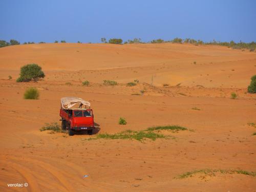 Camp Du D�sert ? Esprit D?afrique