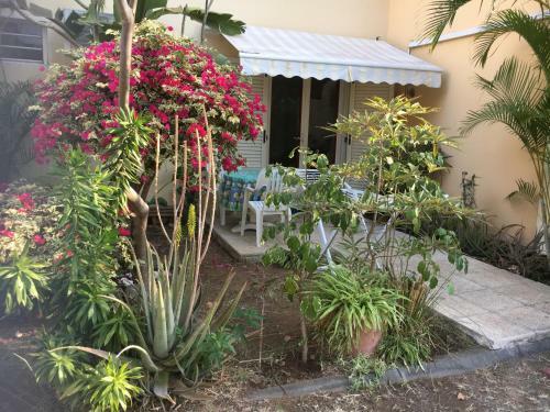 Apartamento � Pied Dans L'eau