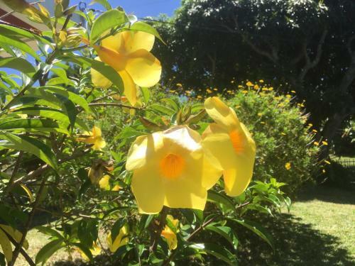 Bed & Breakfast Caloupil�