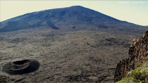 Hostal Les Grevilleas '' Chambres Et Table D'h�tes