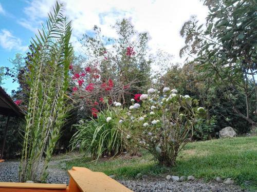 Lodge Hostal Agaseke Boquete