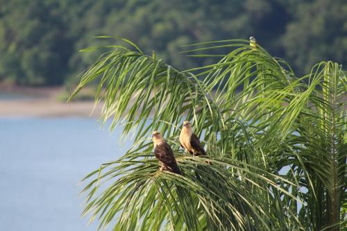 Boca Chica Bay Eco Lodge