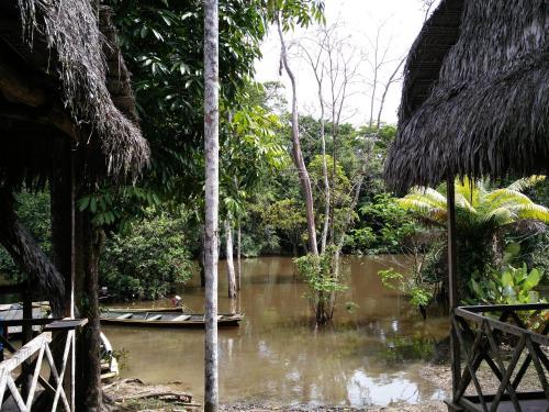 Hostal Lodge Jungle Wolf Expeditions
