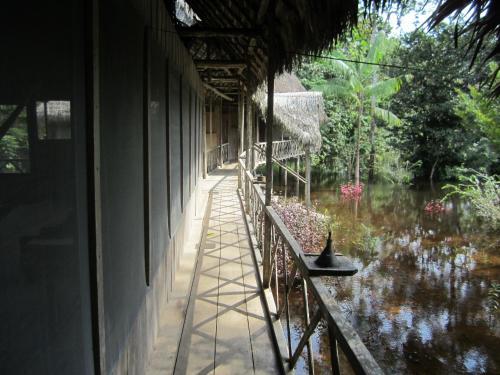 Hostal Lodge Jungle Wolf Expeditions