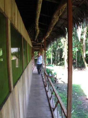 Hostal Lodge Jungle Wolf Expeditions