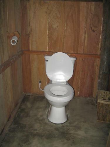 Hostal Lodge Jungle Wolf Expeditions