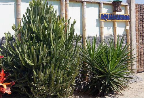 Bed & Breakfast Aquamarinn