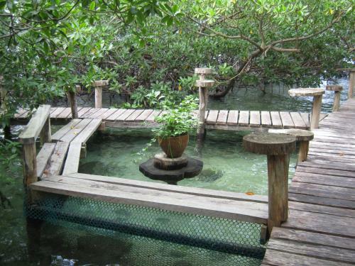 Lodge Urraca Private Island