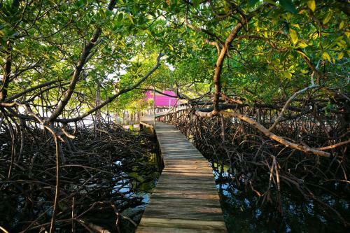 Lodge Urraca Private Island