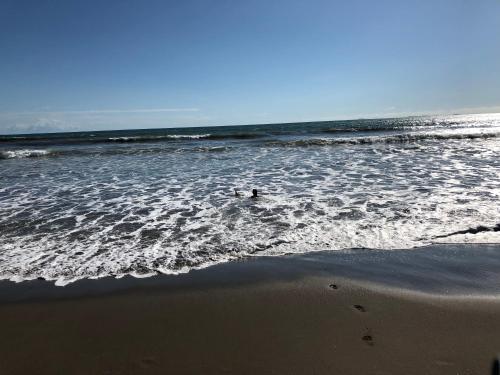 Mariposa Blanca Beach House