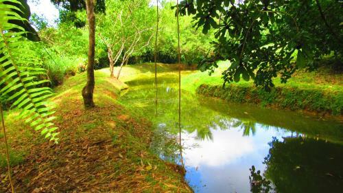 Agroturismo Bluff Nature Cabana