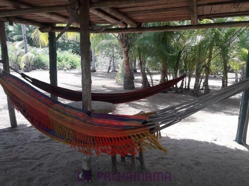 Albergue Hostal Pachamama