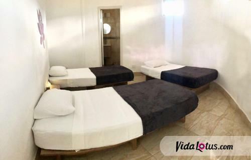 Hotel Vida Lotus Retreat & Spa