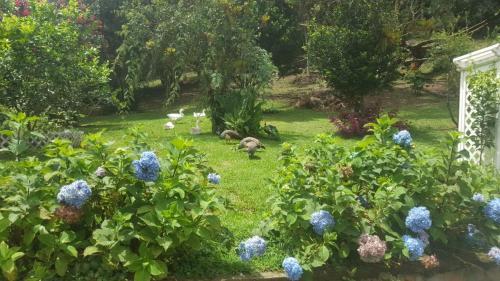 Cozy House In El Valle De Anton