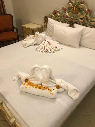 Hostal New Shelton Guest House