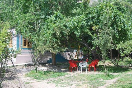 Lodge Grapes Garden