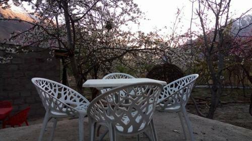 Lodge Grapes Garden