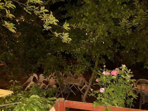 Diamond Hotel & Resort Duiker Hunza