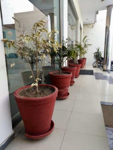 Hotel Mughal Guest House