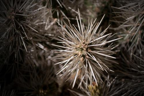 Hostal Miraluna Caba�as