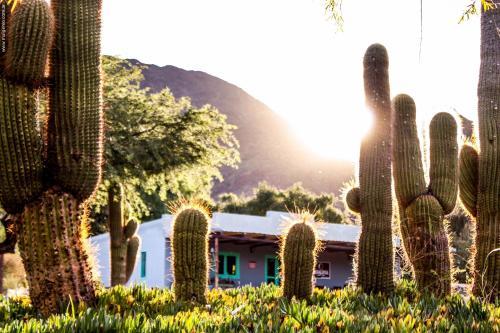 Hostal Miraluna Caba�as
