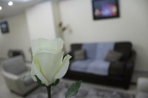 Yousuf City House