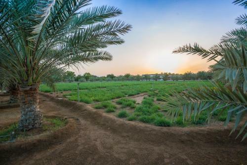Asahalah Farm Villas