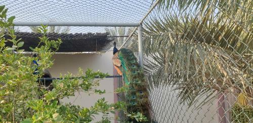 Asahalah Farm Villas