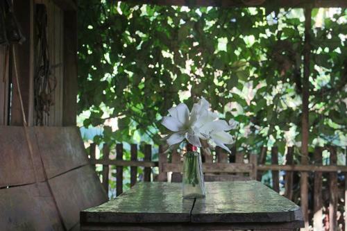 Lodge Finca Lindos Ojos