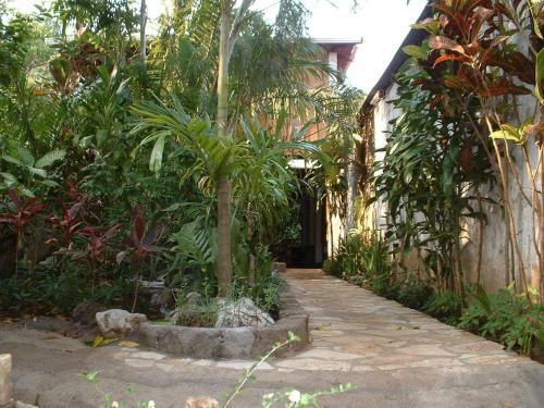 Hotel Eco Posada Tortuga Verde