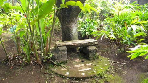 Hotel Eco Posada Tortuga Verde
