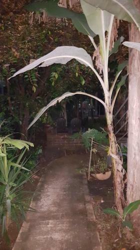 Apartamento Yeshua Long Beach Rental