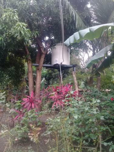Albergue La Sabana Cheap House