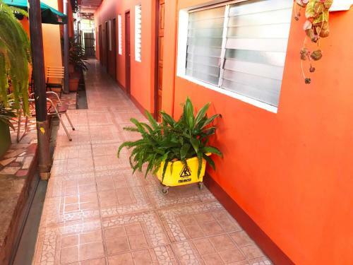 Hostal Hospedaje Y Cafe Ruiz