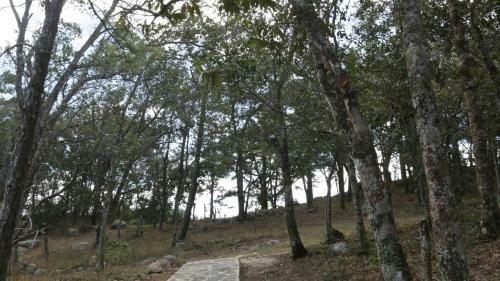 Hotel Boutique Marduk Gardens