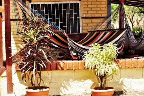 Hostal Los Cocos Beach House, Popoyo