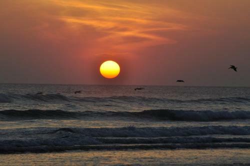 Hostal Los Cocos Beach House, Popoyo