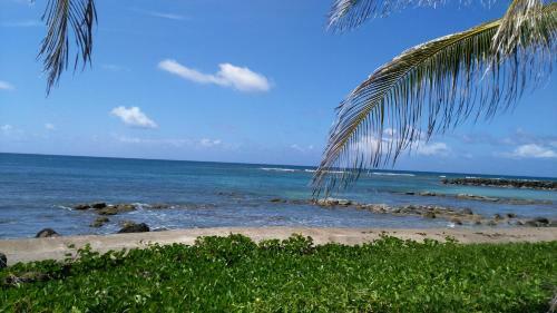 Corn Island Hostal Alal Suite