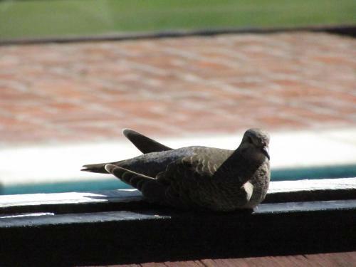 Hostal Complejo Molino De Las Termas