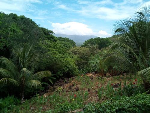 Eco-lodge El Porvenir.