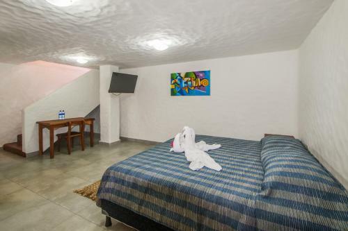 Pelican Eyes: Villa Coral II