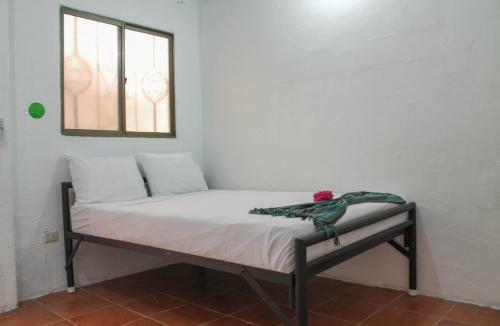 Casa Oro Eco Hostel
