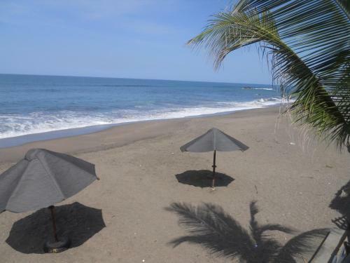 Beach Hostal Oasis