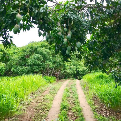 La Finca Esperanza