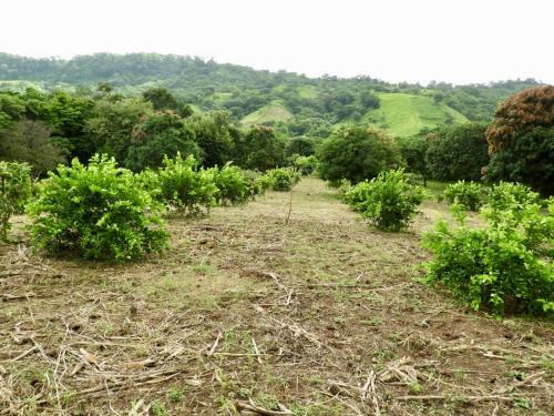 La Finca Esperanza