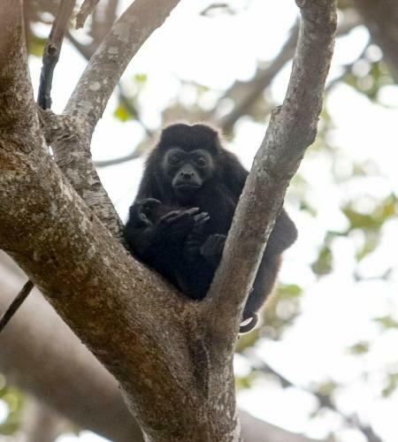 Hotel Manku Lake Paradise